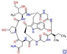 Definitions of amanitin
