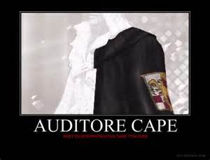 Definicija auditore
