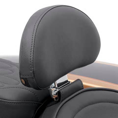 backrests 定義