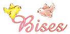 definisyon nan bises