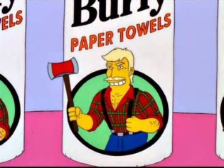 Definice burly