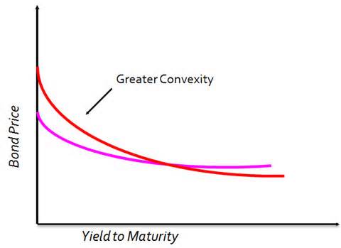 convexity tanımı