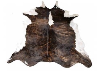 definizzjoni ta cowhide