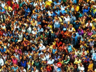 crowds tanımı