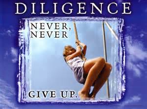 definisyon nan diligence
