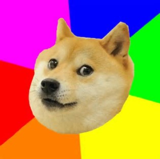 definisyon nan doge