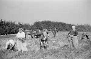 Definice farmwork