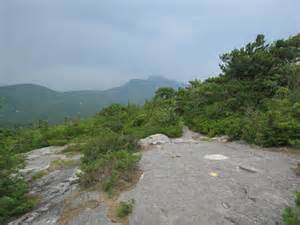Definicja flatrock