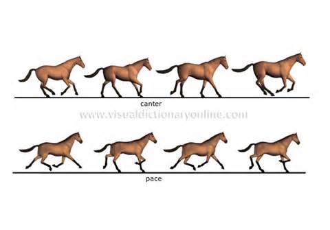 Definice gaits