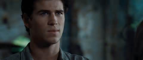 Definice gale