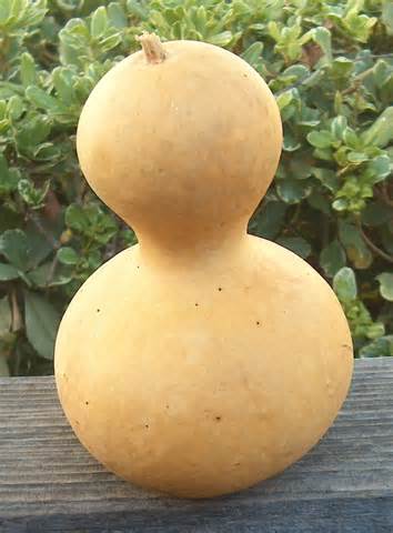 definizzjoni ta gourd