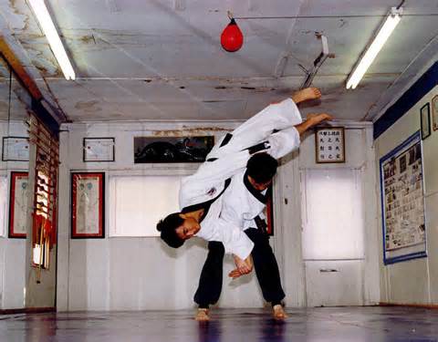 definición de hapkido