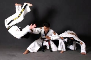 definición de hapkido