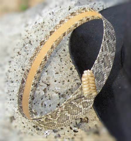 definisyon nan hatband