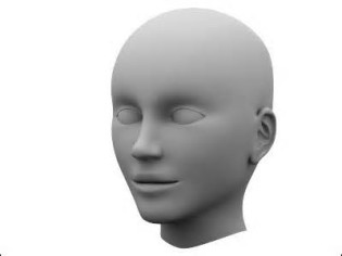 Definició de head
