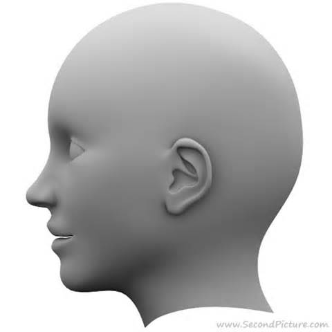 Definició de head