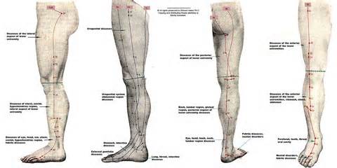 Definisi leg