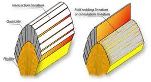 Definice lineations