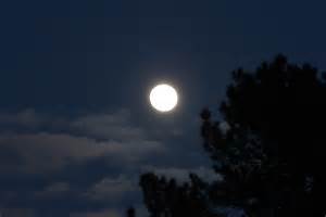 определение lune