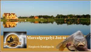 definisyon nan marcalgergelyi