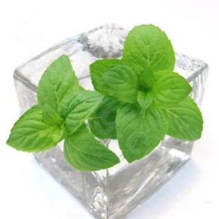 definición de menthol