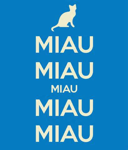 definisyon nan miau