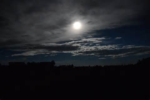 opredelitev moonlit
