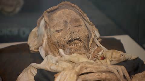 ความหมายของ mummies