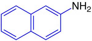 Definisi naphthyl