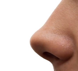 definizzjoni ta nose
