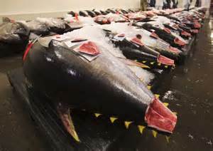definisyon nan overfish