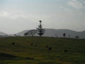 Definīcija pastural