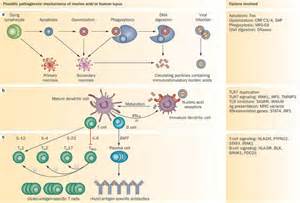 pathogenetic परिभाषा