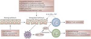 pathogenetic परिभाषा