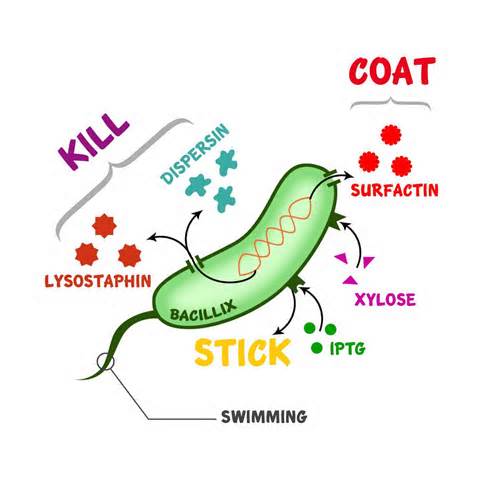 pathogenic परिभाषा