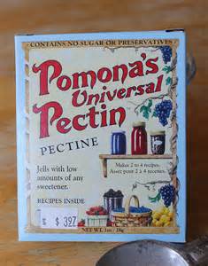 Definisi pectins