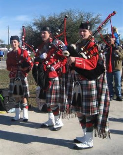 Definiția pipers