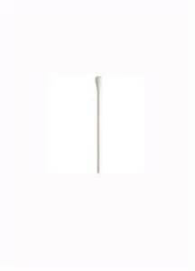 proctoscopic کی تعریف