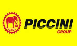 opredelitev promines