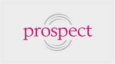 definizzjoni ta prospect