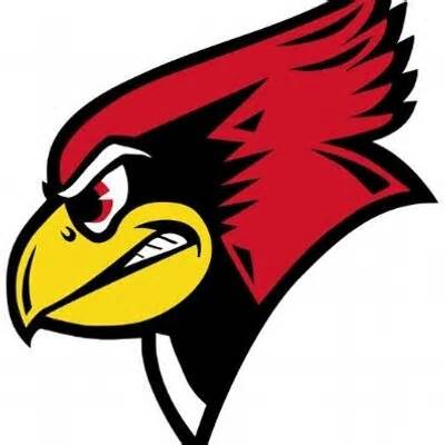 Definice redbirds