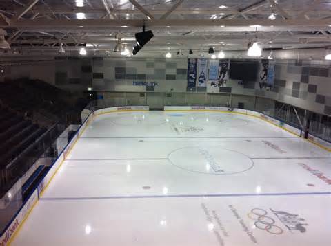 Definitie van rink