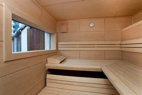 definizzjoni ta saunas