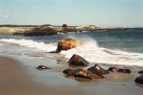 Definice seacoast