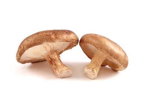 definisyon nan shiitake