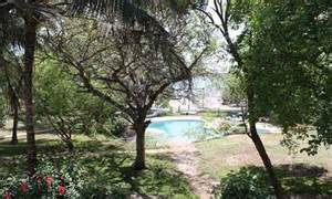 Definice shimoni