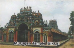 Definitions of sikkul