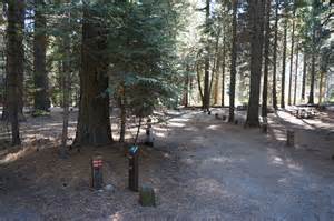 Definitions of stumpy