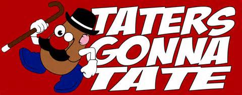 definisyon nan taters