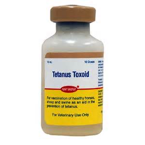 toxoid کی تعریف